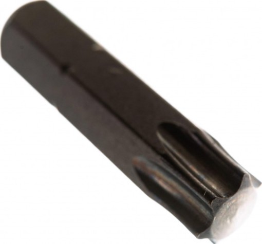 Бита для заворачивания D.BOR TORX 40, 25 мм (арт. d-t40-025-010) (10 шт.) [D06-DT40025010]