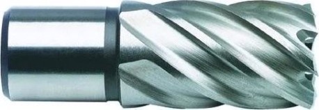 Сверло по металлу корончатое D.BOR (3/4''), HSS 12х30 мм с хв. weldon 19 мм [D-CD-HSS-030-012-W]