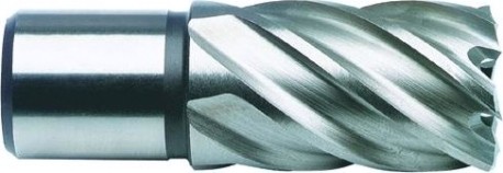 Сверло по металлу корончатое D.BOR (3/4''), HSS-Co, 17,0*30/55 мм с хв. weldon 19 мм [W-041-474170102D]