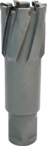 Сверло по металлу Профоснастка D25 L=55/92 мм №318 WELDON19 TCT корончатое [40105018]